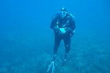 DSC02300.jpg